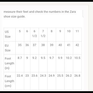 Zara shoe guide